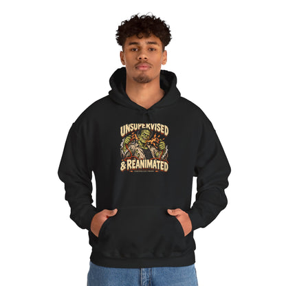 Unsupervised & Reanimated — Controlled Chaos Halloween — Pullover Hoodie
